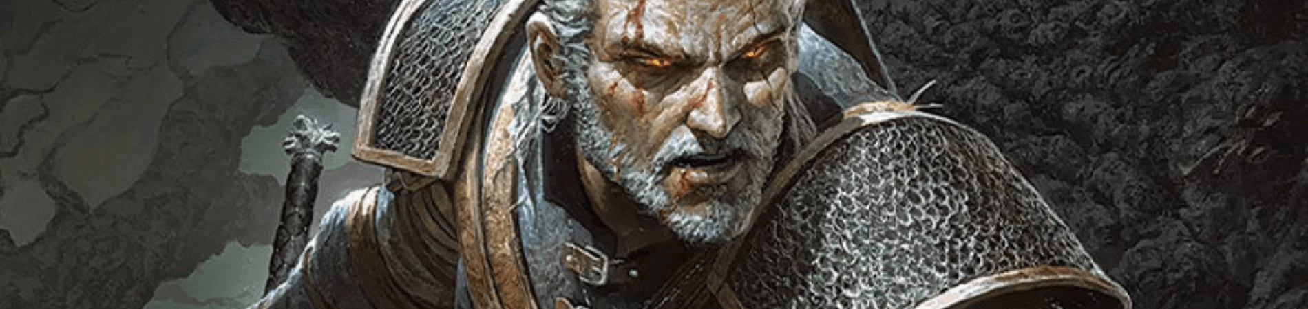 The Witcher