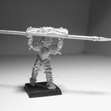 Testudo Pikeman 2