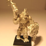 Orc Swordsman with Shield 1