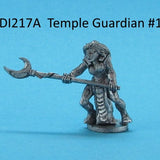Ice Witch Temple Guardian