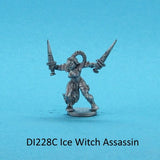 Ice Witch Assasin