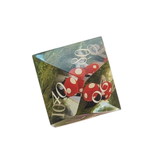 Mushroom Fantasy Würfelset / 7er Set - Transparente Sharp Edge Würfel mit Pilzen