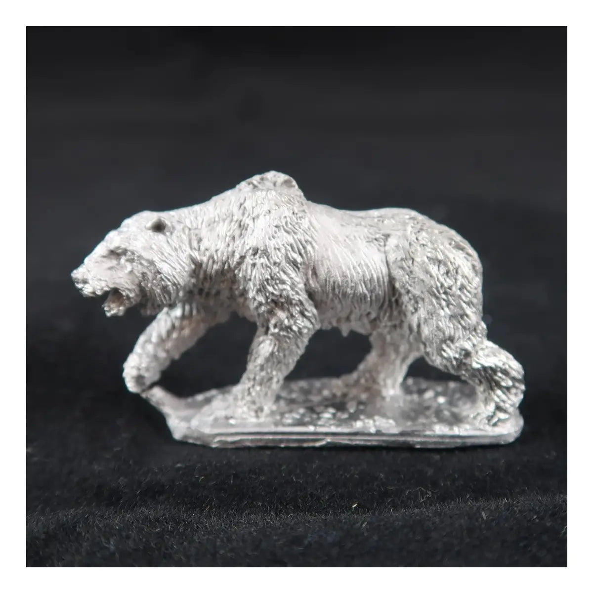 Black Bear