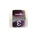 Chessex Chessex Gemini Purple-Steel W6