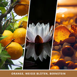 Duftkerze Wahnsinn & Wissen mit Überraschungswürfel