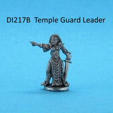 Ice Witch Temple Guard Leader