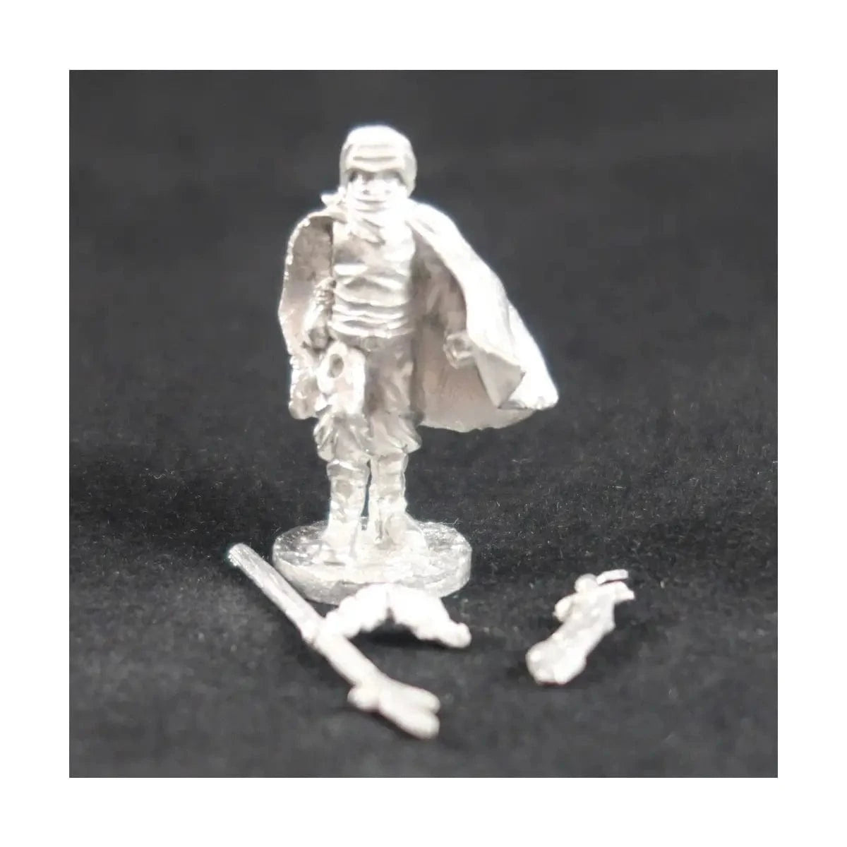 Ral Partha Novadi Caravan Master