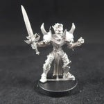 Seething Knight