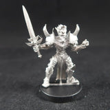Seething Knight