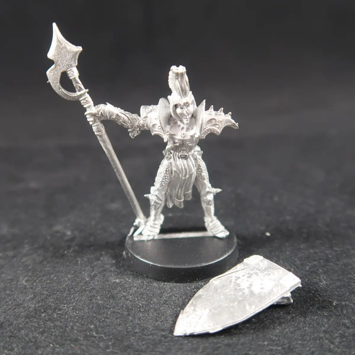 Shieldwall Knight
