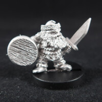 Dwarf Champion with Sword and Shield
