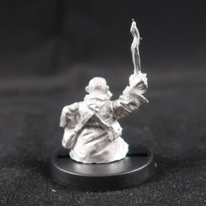 Dwarf Wizard - Harald the Wise